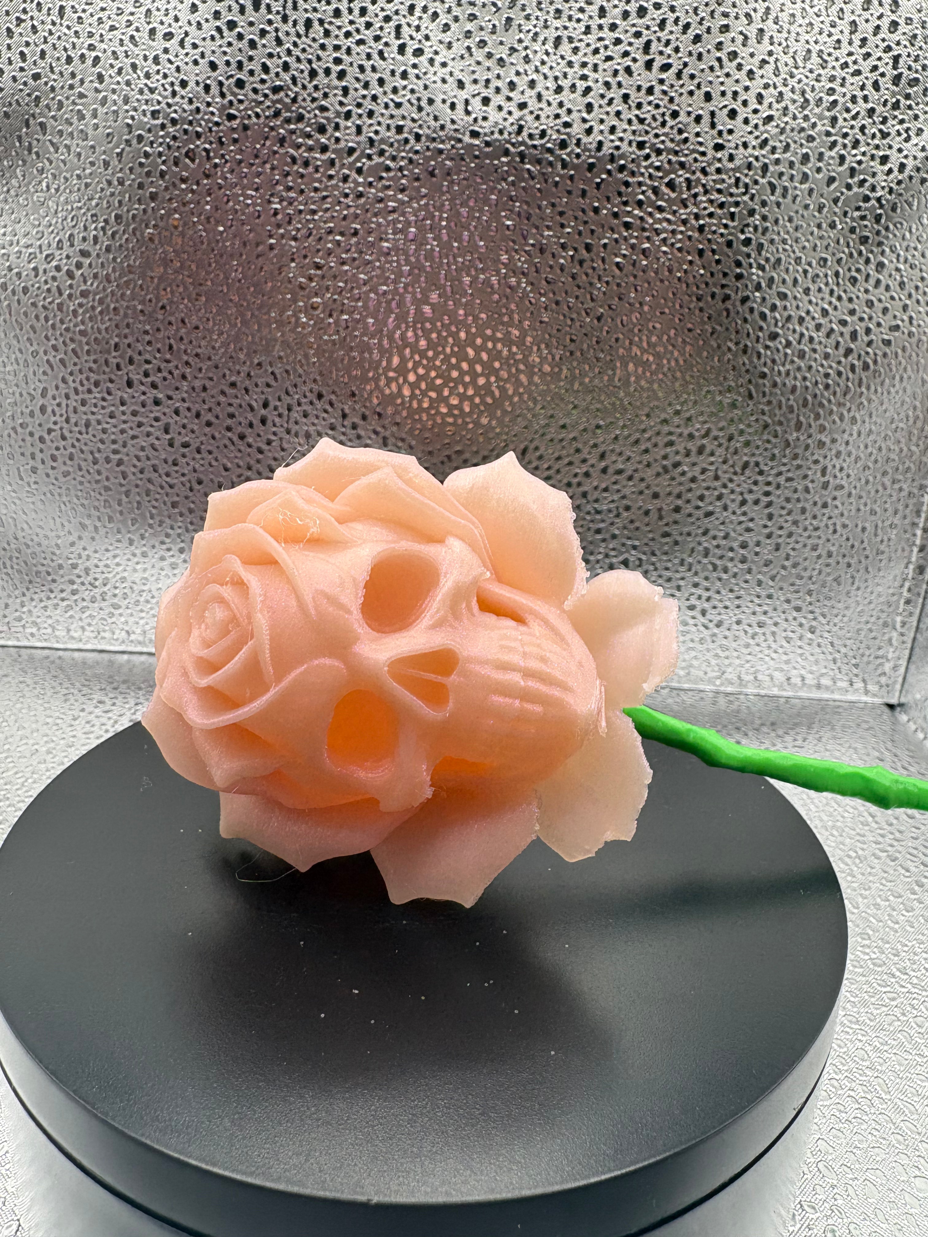 Santa Rose Pearl Pink